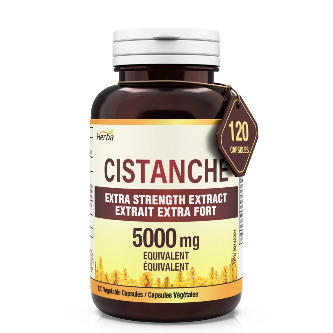 Herba Cistanche Tubulosa Capsules – 120 Capsules