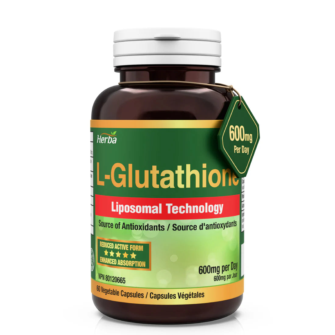 Herba Liposomal Glutathione Supplement – 600 mg per Day | 60 Vegetable Capsules