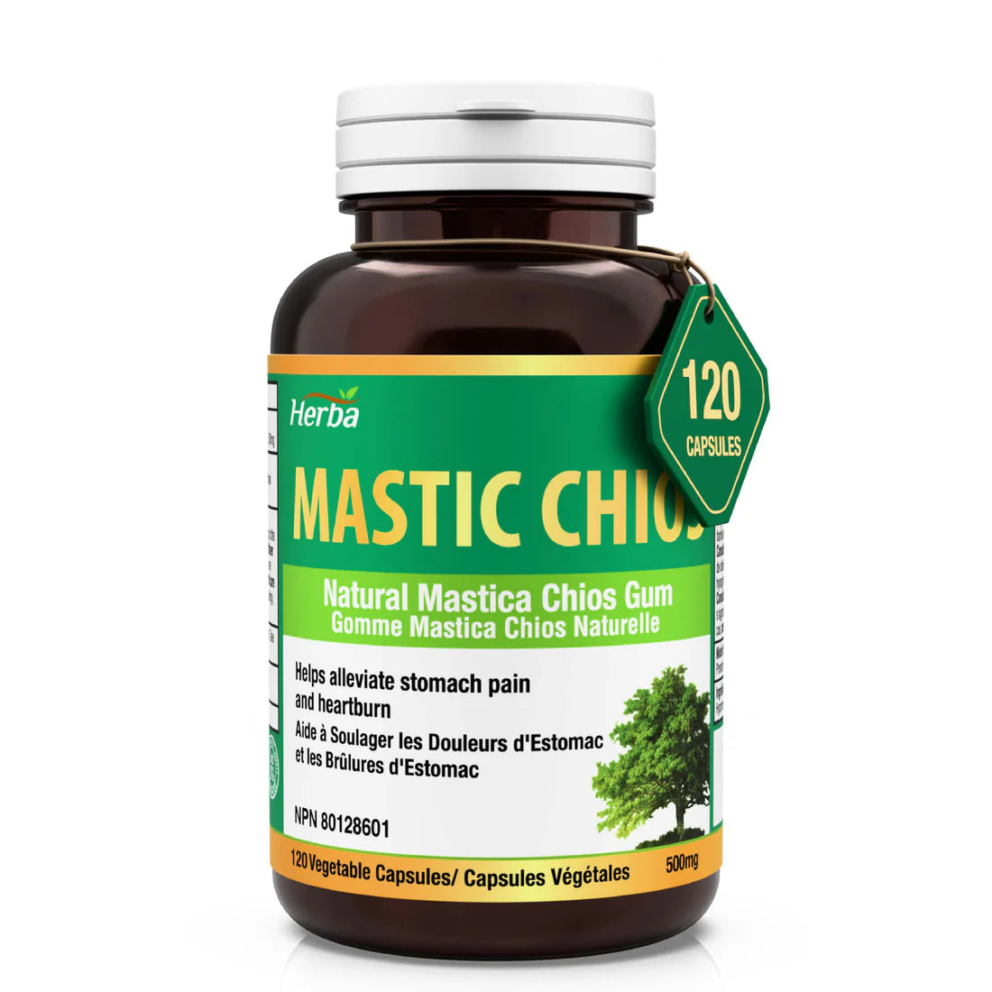 Herba Mastic Gum – 500 mg | 120 Capsules