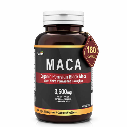 Herba Black Maca 355 mg – 180 Capsules