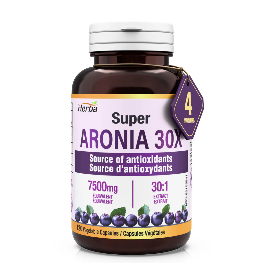 Herba Aronia Berry Extract – 120 Capsules